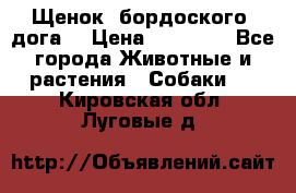 Щенок  бордоского  дога. › Цена ­ 60 000 - Все города Животные и растения » Собаки   . Кировская обл.,Луговые д.